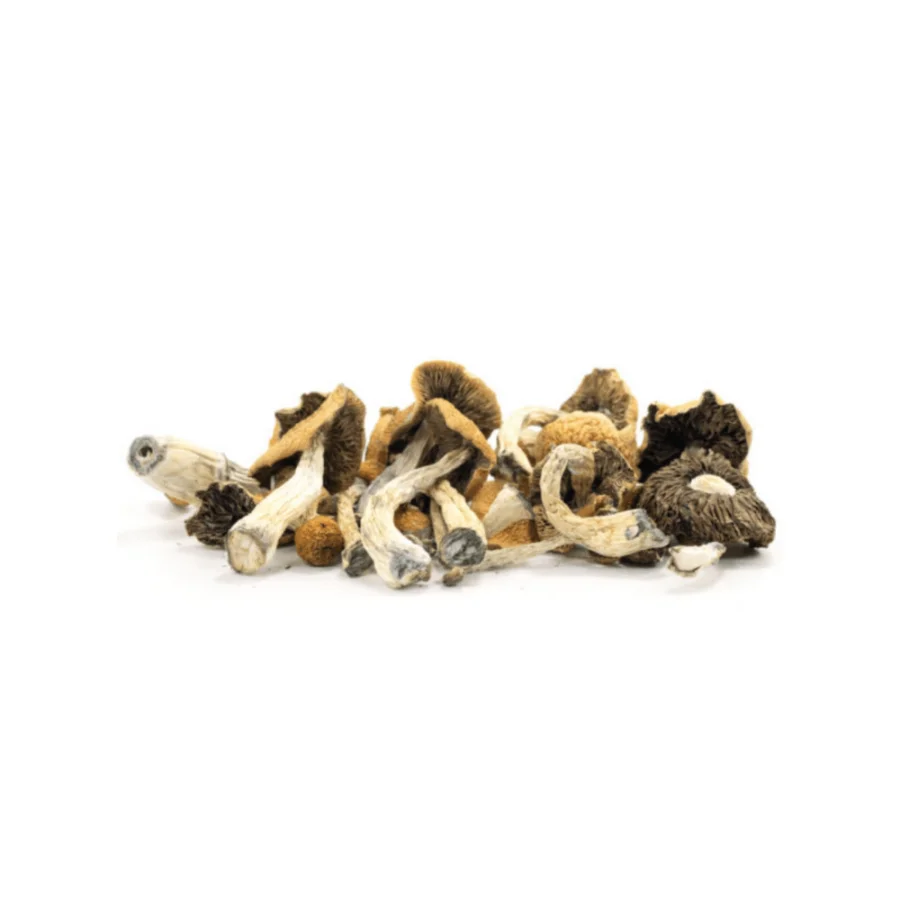 Malabar Dried Mushroom