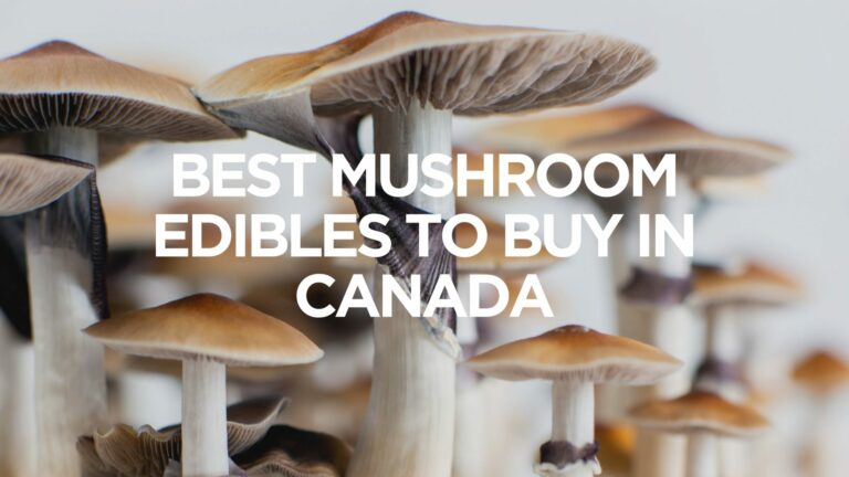 best-mushroom-edibles-to-buy-in-canada