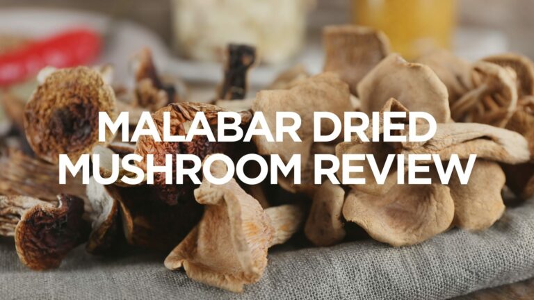 malabar-dried-mushroom-review