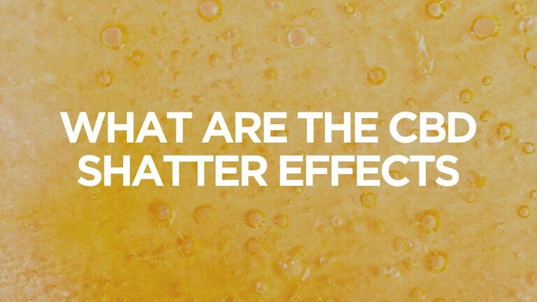 what-are-the-cbd-shatter-effects