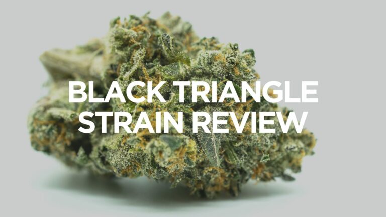 black-triangle-strain-review
