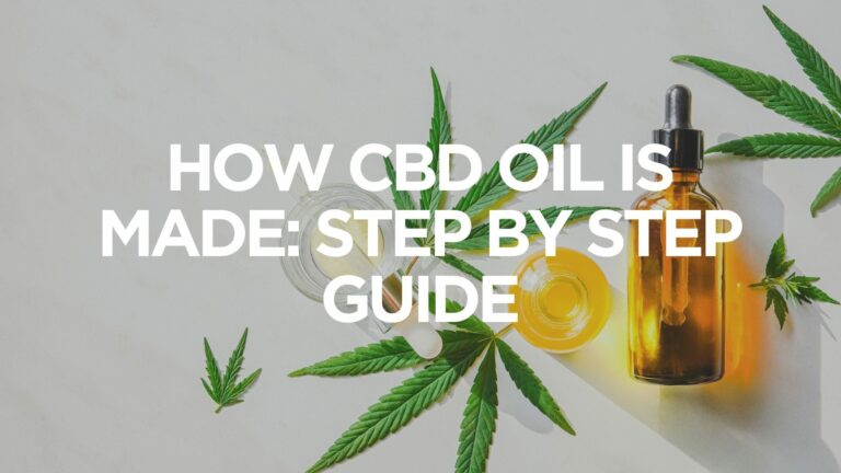 how-cbd-oil-is-made-step-by-step-guide
