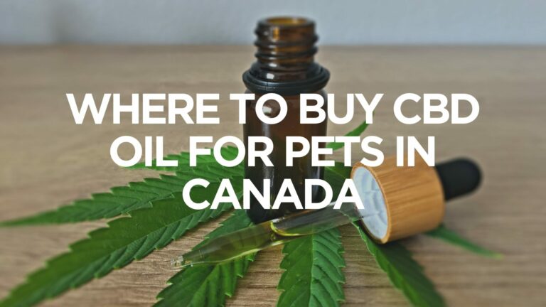 where-to-buy-cbd-oil-for-pets-in-canada