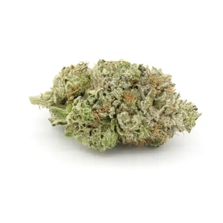 Violator Kush