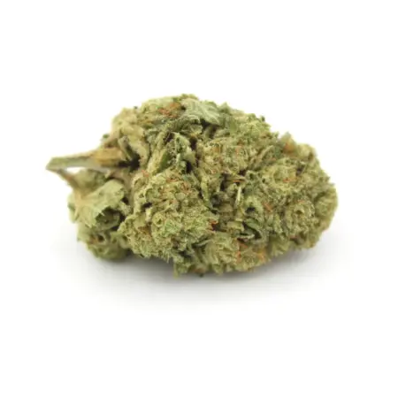 HeadBand