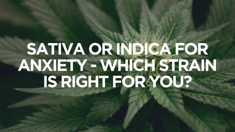 sativa-or-indica-for-anxiety-which-strain-is-right-for-you