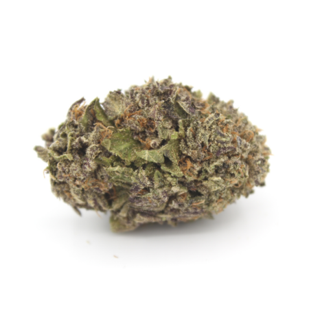 Purple Kush