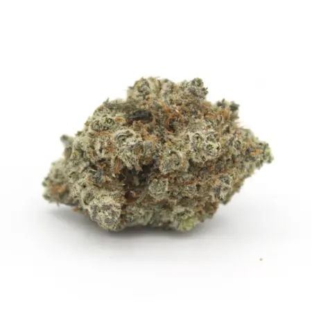 Blackberry Pie