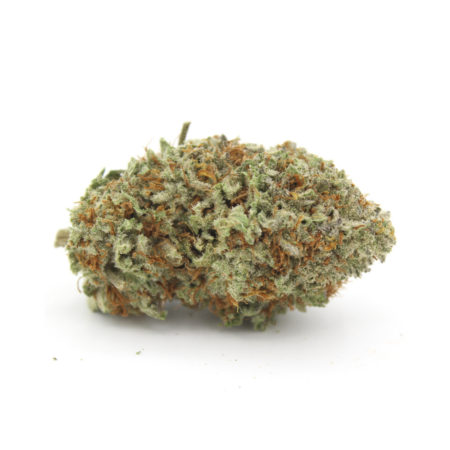 Northern Lights