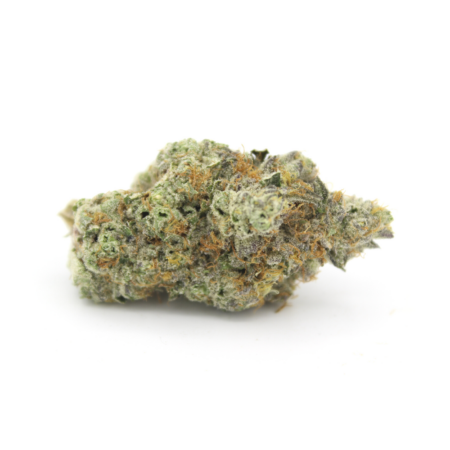 Watermelon Mimosa