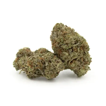 BlueFin Tuna Kush