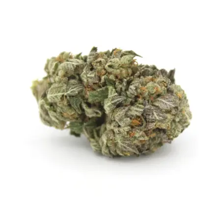 Blue Rhino