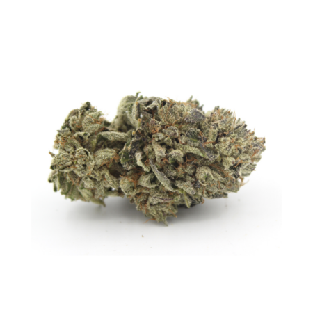 Master Kush