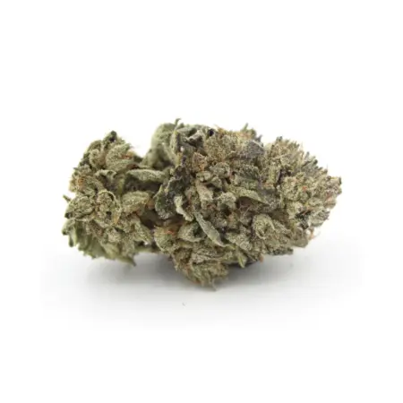 Master Kush