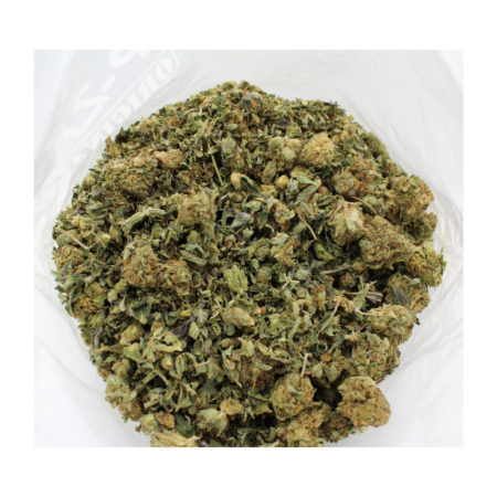 Shake - Headband
