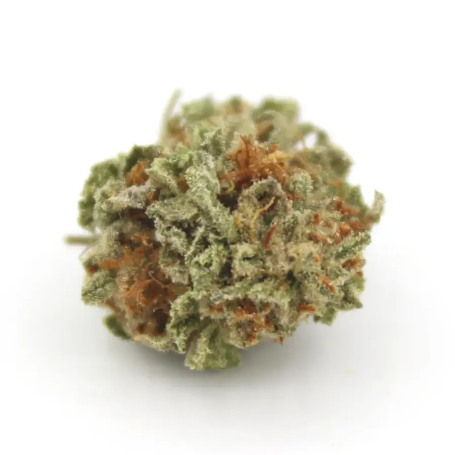 Girl Scout Cookies Smalls
