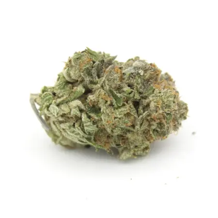 Tuna Kush