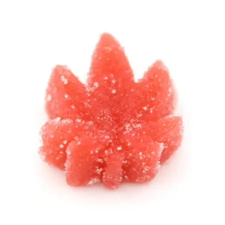 Infused Edible Gummies- SOUR Cherry Leaf 15mg