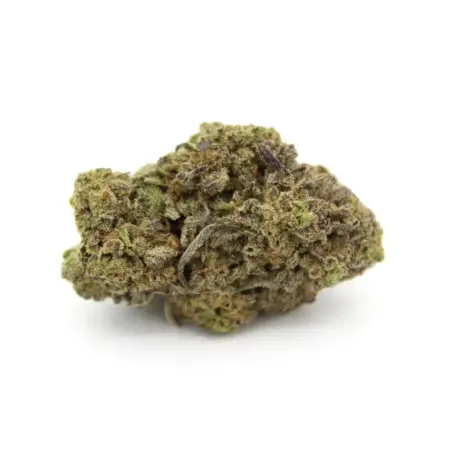 Dutch Treat