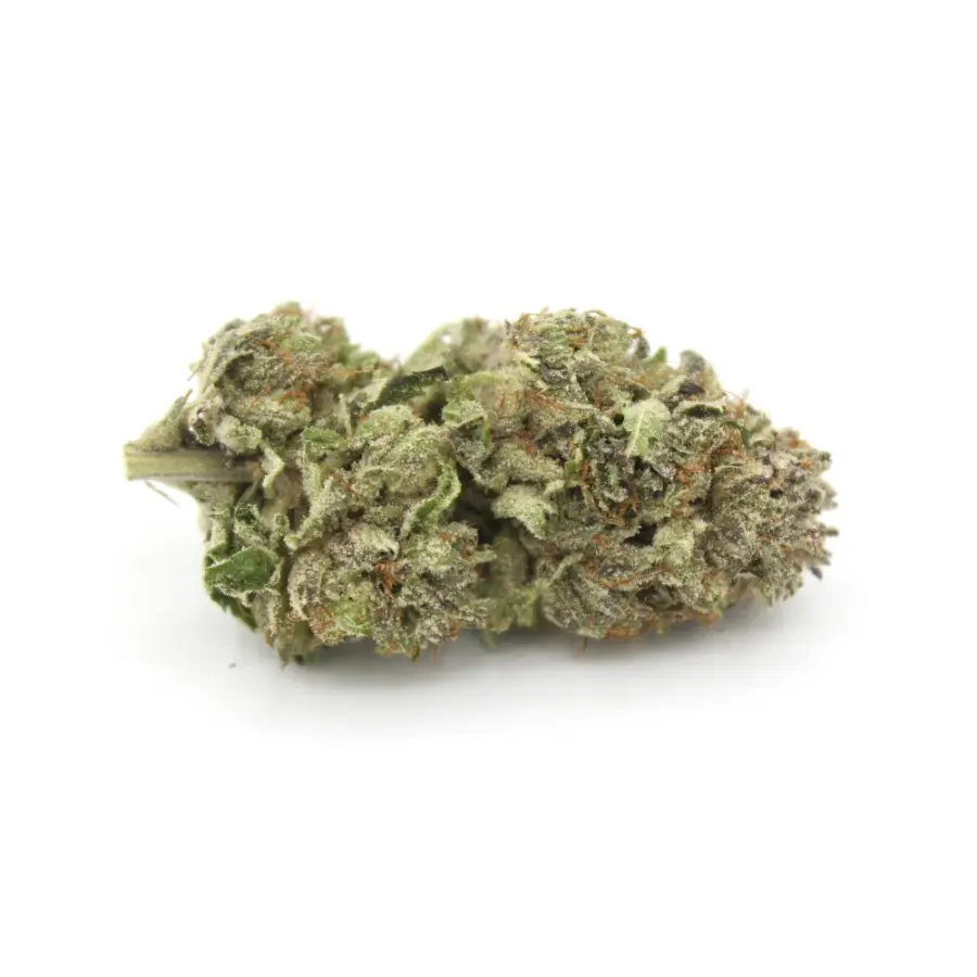 Purple Punch AA