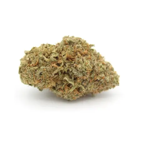 Lemon Skunk