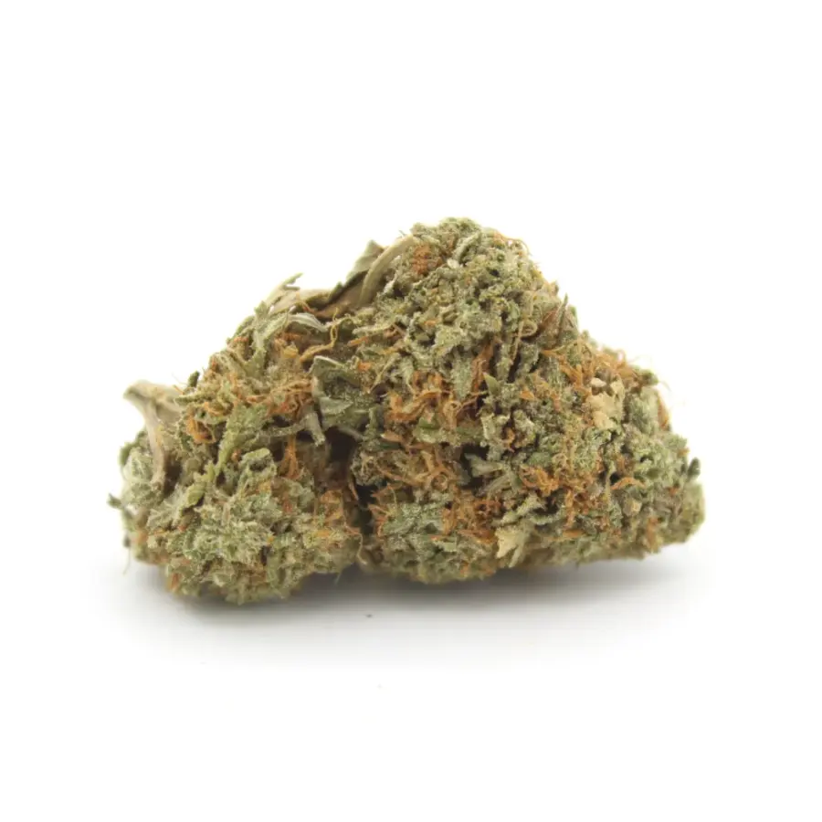 Nuken AA