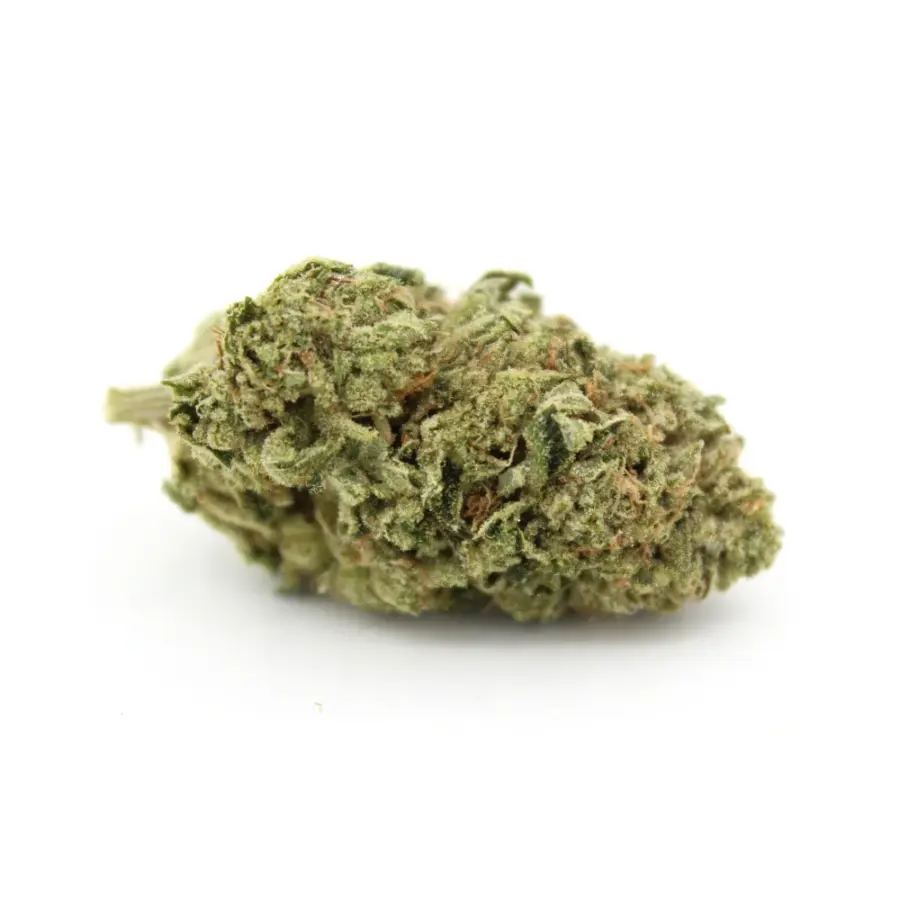 Hindu Kush | AAA