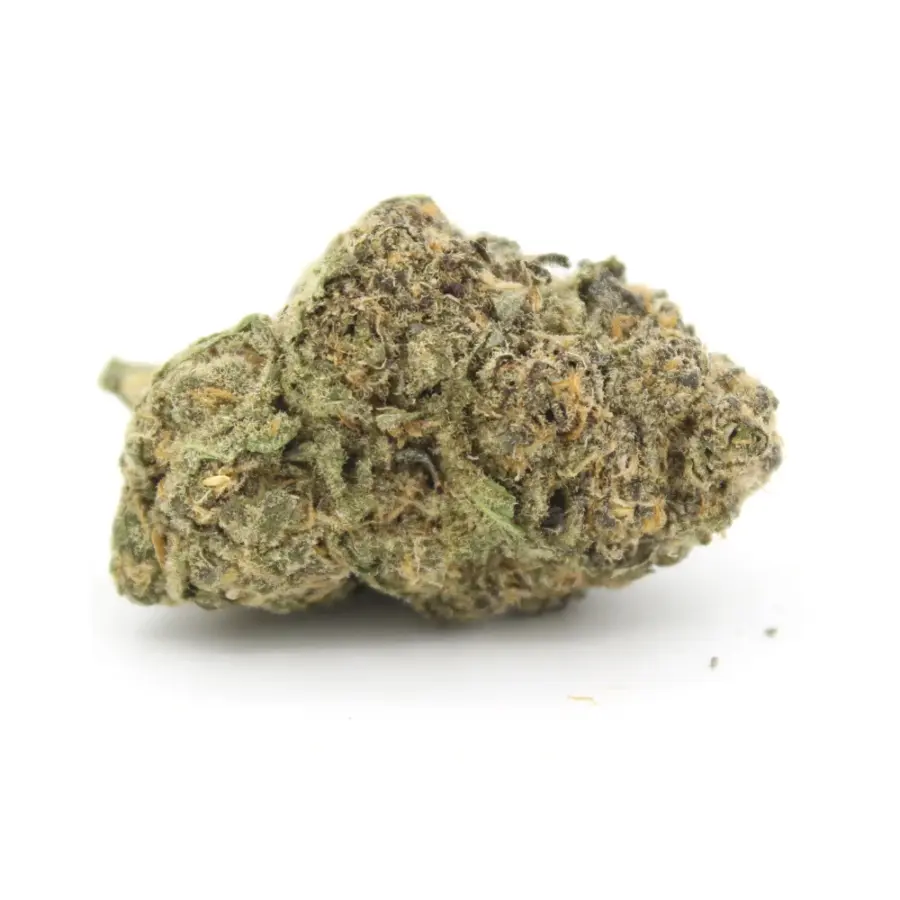 Phenom Genetics - Exotic Animal AAAA+
