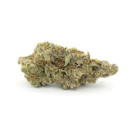 Phenom Genetics - Blue Pop