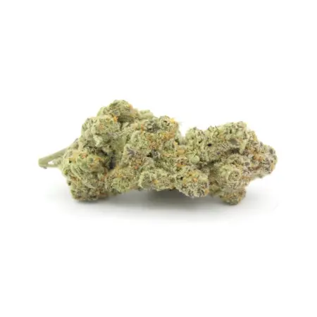Phenom Genetics - Slurricane