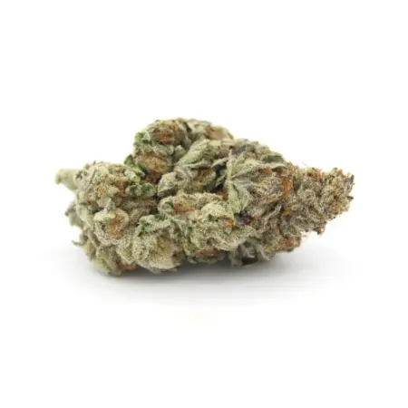 Phenom Genetics - Katsu Pink