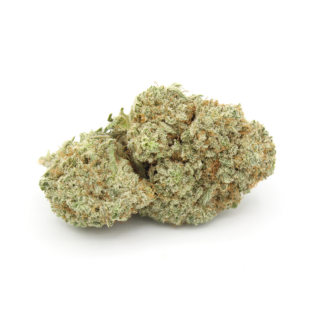 Gorilla Glue
