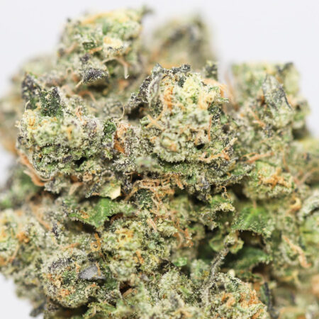 Blackberry Chem OG