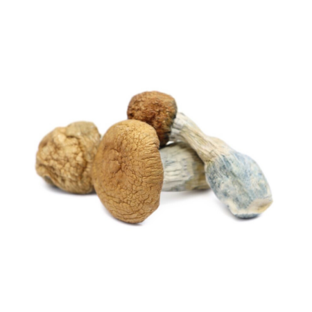 Makilla Gorilla Dried Mushrooms