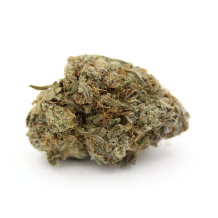 Grease Monkey