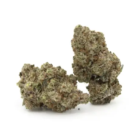Alien Gelato | AAAA