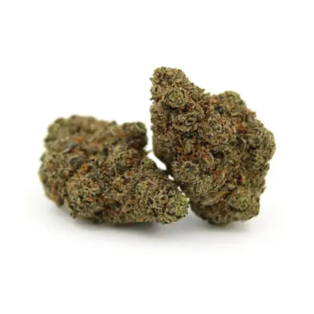 Afghan Ghost OG