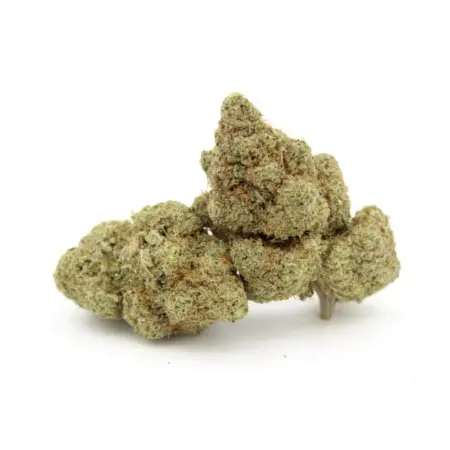 Gorilla Glue #4
