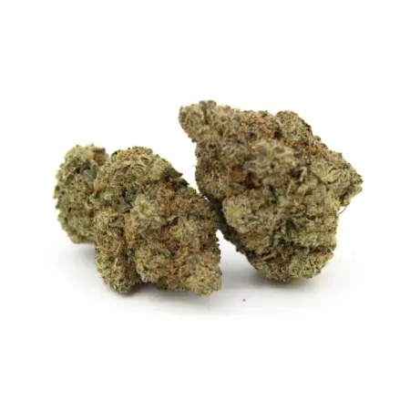 Northern Lights