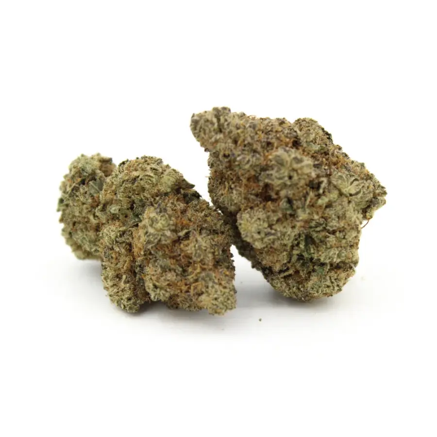 Northern Lights | AAAA