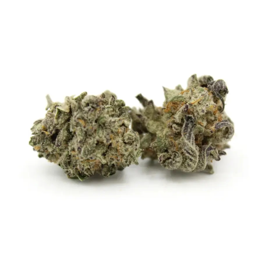 Peach Crème Gelato | Smalls