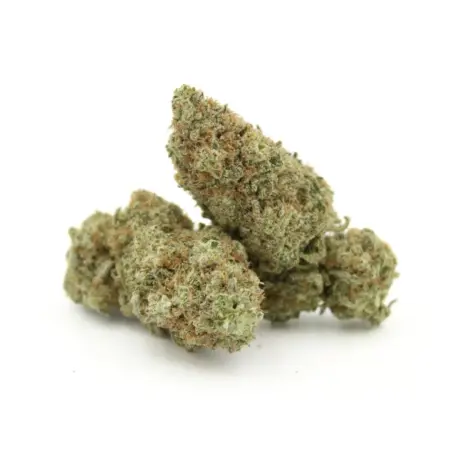 Poison Peaches | AAAA