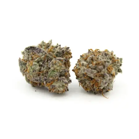 Tahoe Cream | Smalls