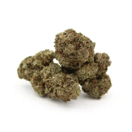 Thin Mint Girl Scout Cookies